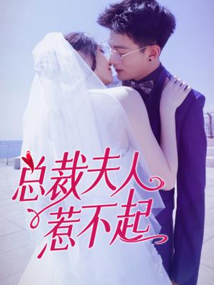 镖行天下前传全集